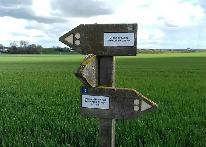 L Abricotier Saint-Crepin (Charente-Maritime)